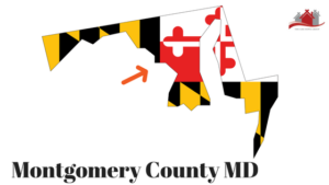 Relocating to the DC Metro area