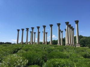 The Columns at the Arboretum are a special part of this outdoor museum