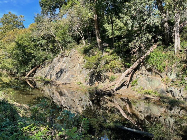 Woodacres, a Great Place to Live in Bethesda