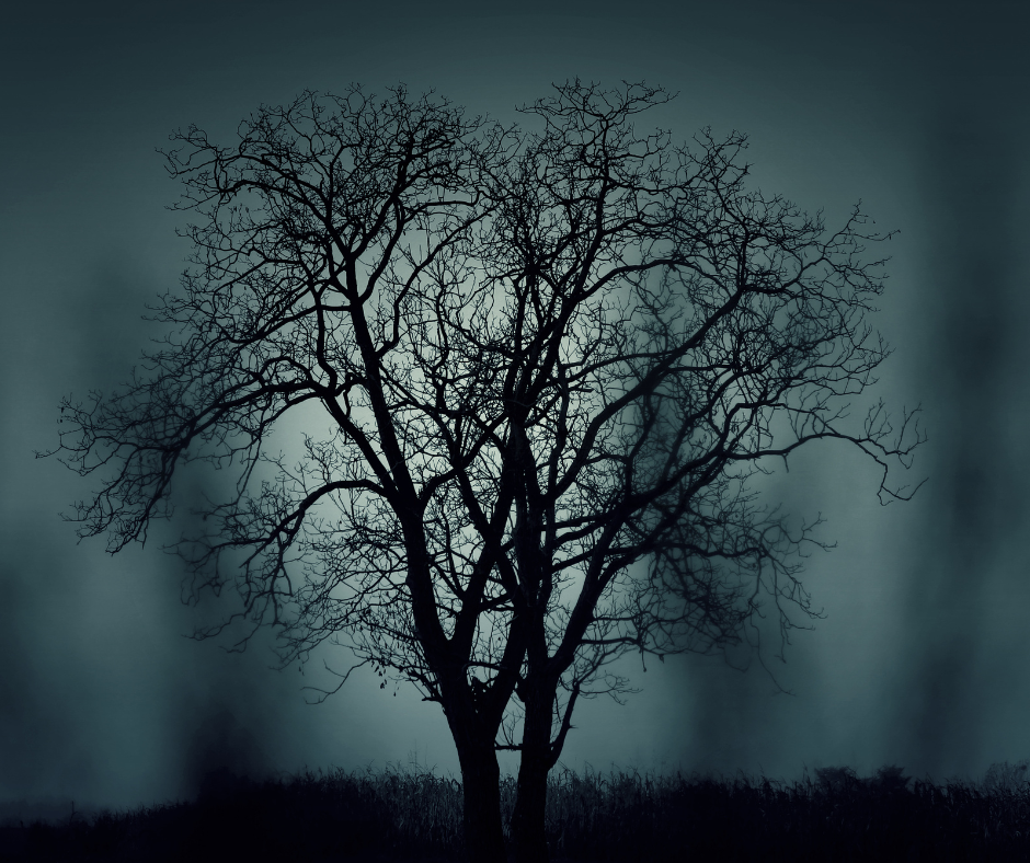 Good Halloween movies