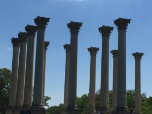 Arboretum Best Public Gardens DC