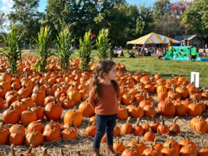 Butler's Orchard - things to do in Bethesda in fall