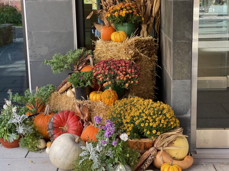 Fall things to do